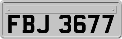FBJ3677