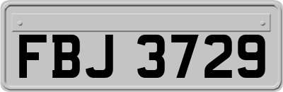 FBJ3729