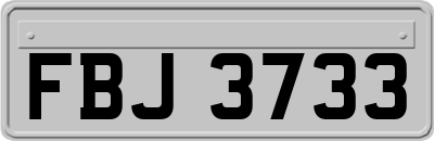 FBJ3733
