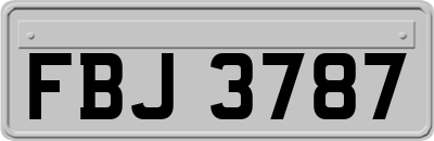 FBJ3787