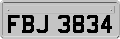 FBJ3834