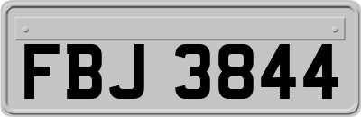 FBJ3844