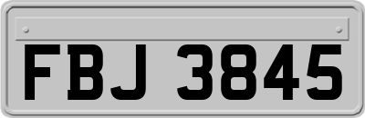FBJ3845