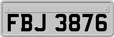 FBJ3876
