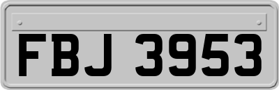 FBJ3953