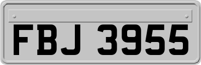 FBJ3955
