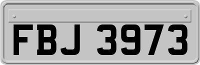 FBJ3973