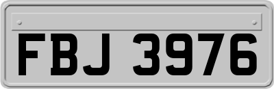 FBJ3976