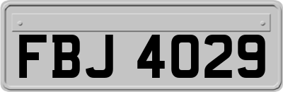 FBJ4029