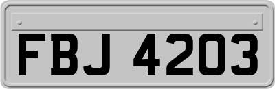 FBJ4203