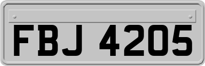 FBJ4205