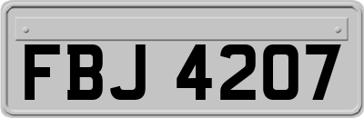FBJ4207