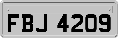 FBJ4209
