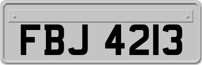 FBJ4213