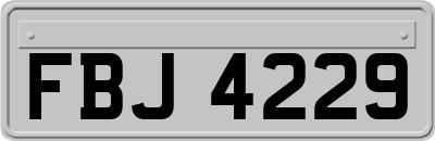 FBJ4229
