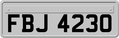 FBJ4230
