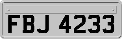 FBJ4233