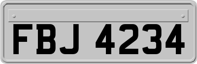 FBJ4234