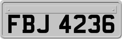 FBJ4236