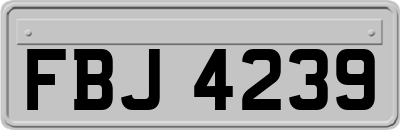 FBJ4239