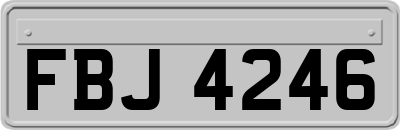 FBJ4246