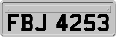 FBJ4253