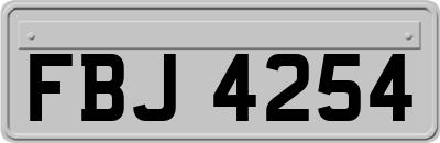 FBJ4254