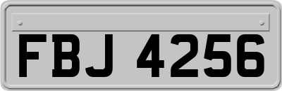FBJ4256