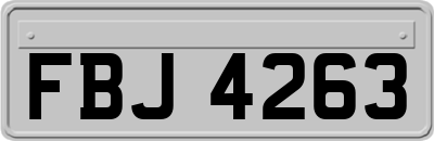 FBJ4263
