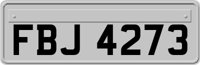 FBJ4273