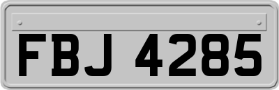FBJ4285