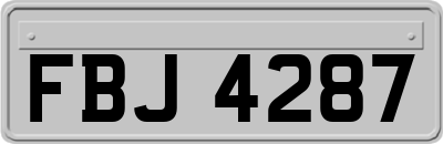 FBJ4287