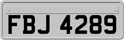FBJ4289