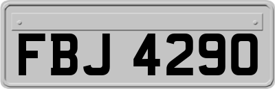 FBJ4290