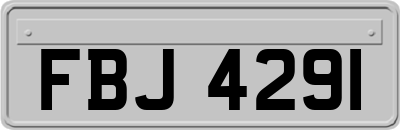 FBJ4291