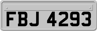FBJ4293