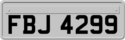 FBJ4299