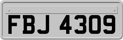 FBJ4309