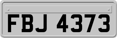 FBJ4373