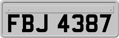 FBJ4387