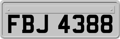 FBJ4388