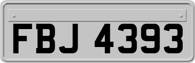 FBJ4393