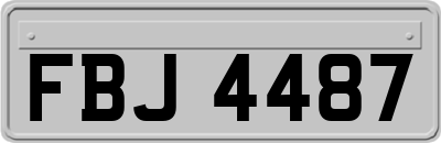 FBJ4487