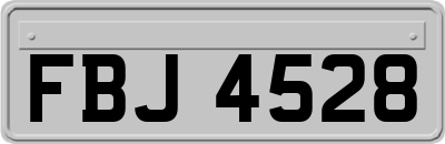 FBJ4528