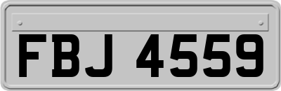 FBJ4559