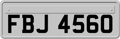 FBJ4560