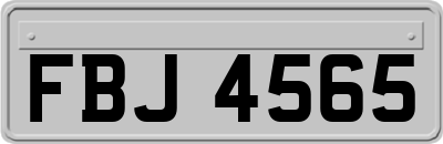 FBJ4565