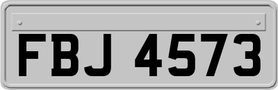 FBJ4573