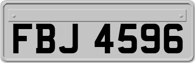 FBJ4596