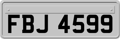 FBJ4599